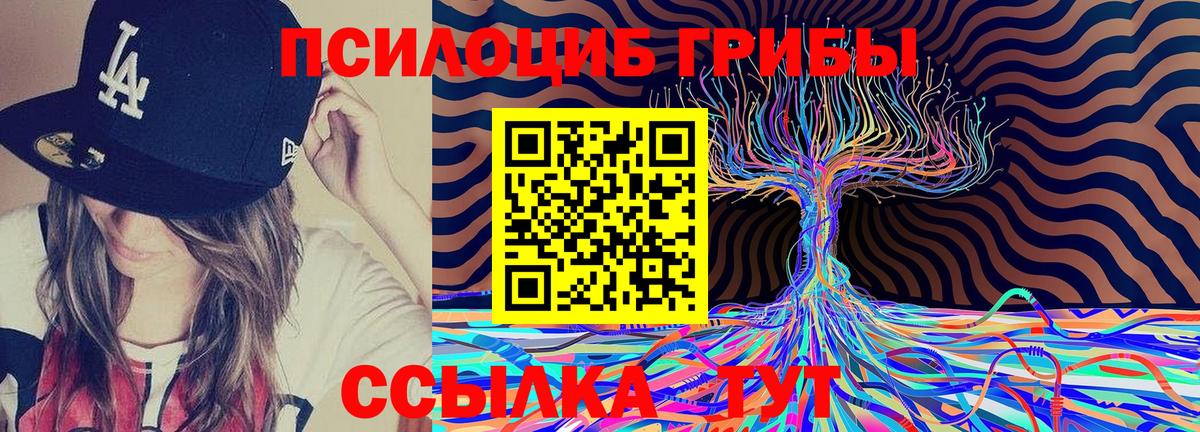 Псилоцибиновые грибы Cubensis  Псилоцибиновые грибы GOLDEN TEACHER  Орёл  Вход с VPN 