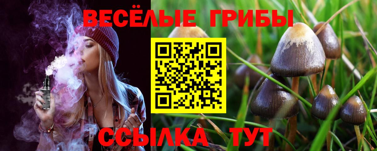 Псилоцибиновые грибы мухоморы Орёл