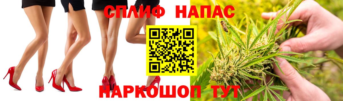 Каннабис семена  Канабис White Widow  Бошки Шишки планчик  Орёл  Вход с VPN  Шишки марихуана марихуана 